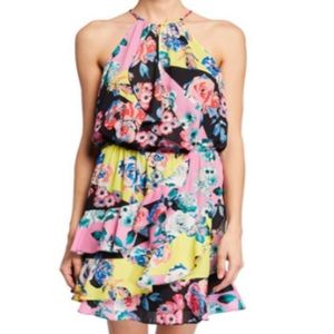 Parker Carmine Floral Dress